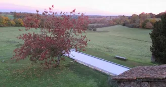 Le fond de la prairie en automne_46