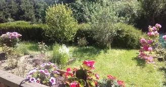 Le jardin._17 Le jardin._17