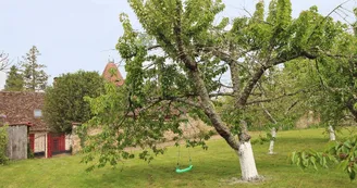 Gite de la maison du potager à Montintin, commune de Chateau Chervix_23 Gite de la maison du potager à Montintin, commune de Chateau Chervix_23