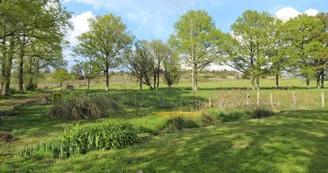 Gîte des Pierres du Mas à La Porcherie en Haute-Vienne (Nouvelle Aquitaine) _27