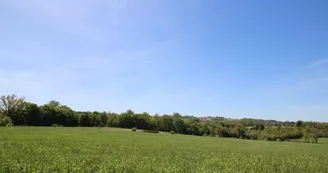 Gite "La Roche" à Meuzac en Haute-Vienne (Nouvelle Aquitaine)_24