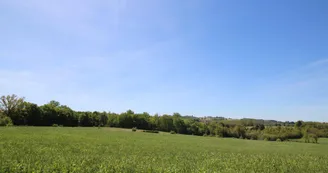 Gite "La Roche" à Meuzac en Haute-Vienne (Nouvelle Aquitaine)_24