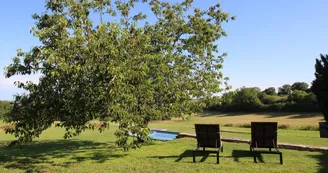 Repos sous le cerisier._18