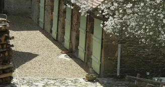 Le prunier en fleurs, à côté du gîte._24