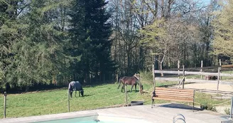 EXTERIEUR PISCINE