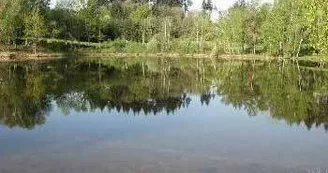 Etang de pêche 'Puychaumartin' à Château-Chervix Etang de pêche 'Puychaumartin' à Château-Chervix