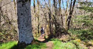 3 Parcours de mémoire