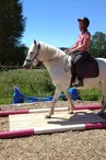 Centre équestre "Les Chevaux de Tilcara" à Château-Chervix_1