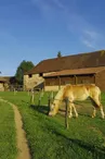 Poney club Equi-libre_1